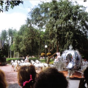 WDW 06