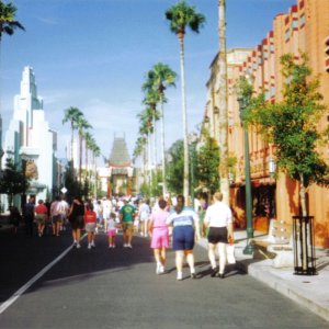 WDW 14