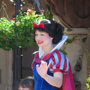 [No title]