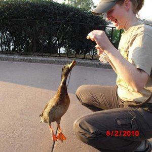EPCOT
und eins und zwei...taddaaaa!!!
(was die enten alles für ein stück brot machen ;) )