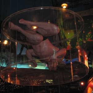 comp IMG 0130
