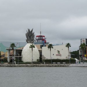 comp IMG 0170