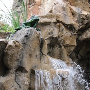 comp IMG 0175