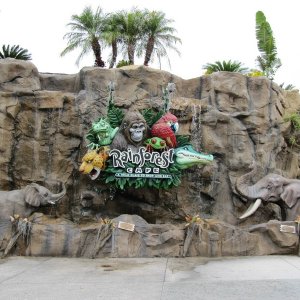 comp IMG 0179