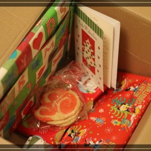 comp IMG 5972
