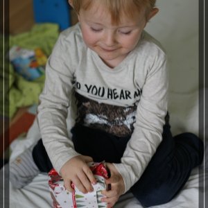 comp IMG 6039