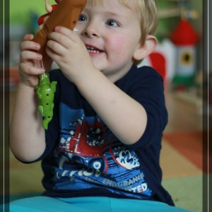 comp IMG 6078