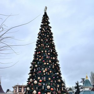 Tannebaum