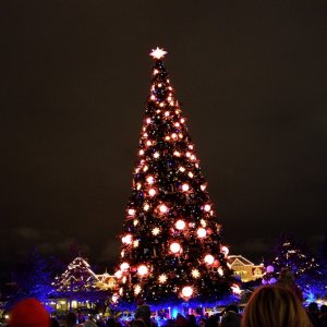 Tree Lightning Zeremonie