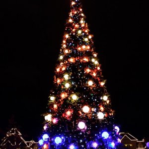 Tree Lightning Zeremonie