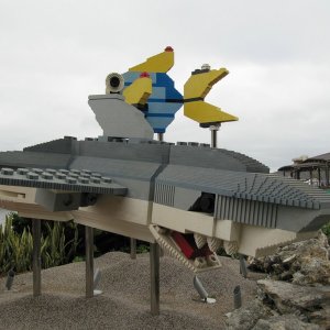 comp IMG 0207