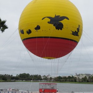 comp IMG 0219