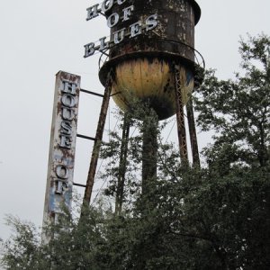 comp IMG 0230