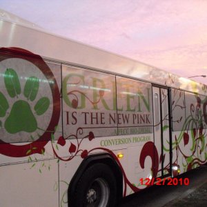 ein ganz besonders schöner bus von lynx