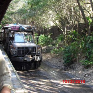 animal kingdom
safari auto