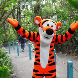 animal kingdom
tigger