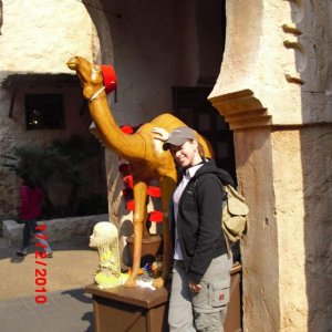 EPCOT
marokko