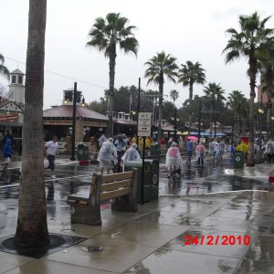 hollywood studios
"platsch"