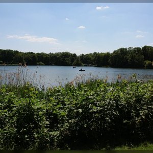 Lust auf eine Bootsfahrt