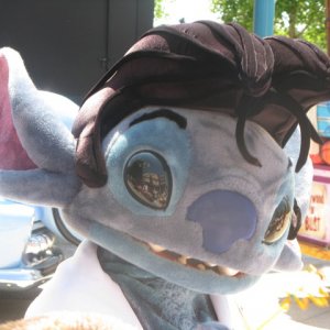 Stitch