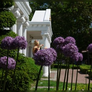 IMG 7658 klein