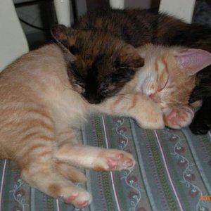Kiara + Ramses