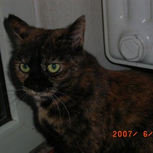 Kiara