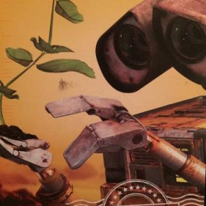 Wall-E aus Amerika