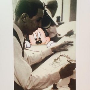 Walt & Mickey aus Amerika
