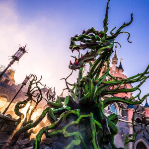 Foto des Tages - 06. Oktober 2016