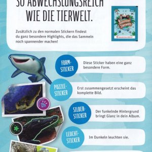 rewe flyer 2