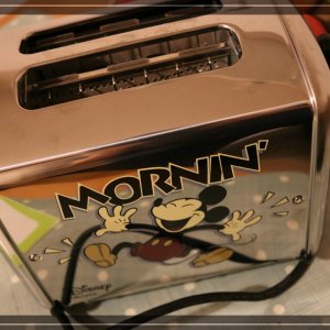 comp IMG 6601