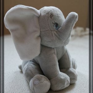 comp IMG 6603