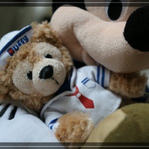 comp IMG 6614