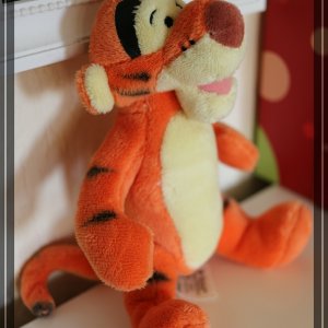 comp IMG 6696