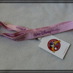 comp IMG 6697