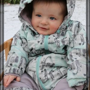 comp IMG 7007