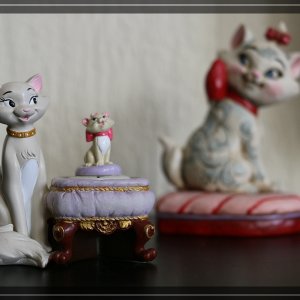 comp IMG 7359