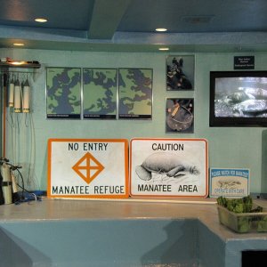 comp IMG 0053