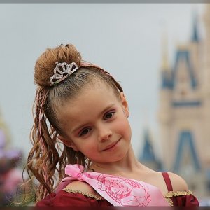 Die Prinzessin und ihr Schloß