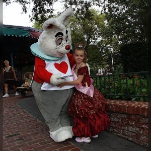Ein Hase