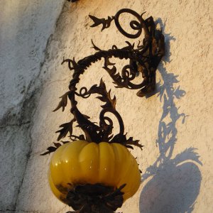 DSC02589 (800x800)