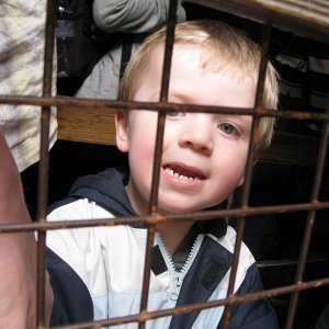 k IMG 6029