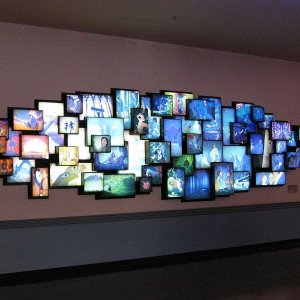 k IMG 6263