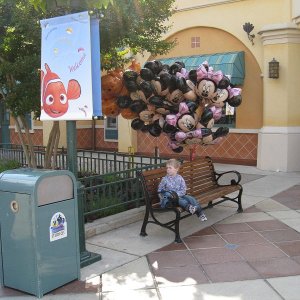 k IMG 6303
