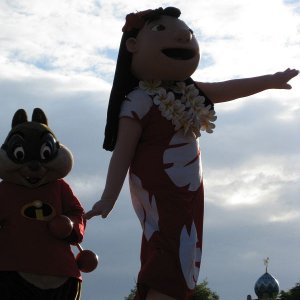 k IMG 6473