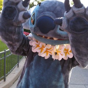 k IMG 6503
