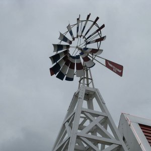 k IMG 6747