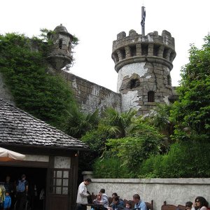 k IMG 7131