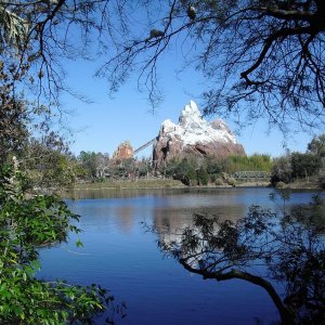 animal kingdom
everest
